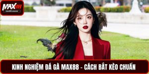 Kinh nghiệm đá gà Max88