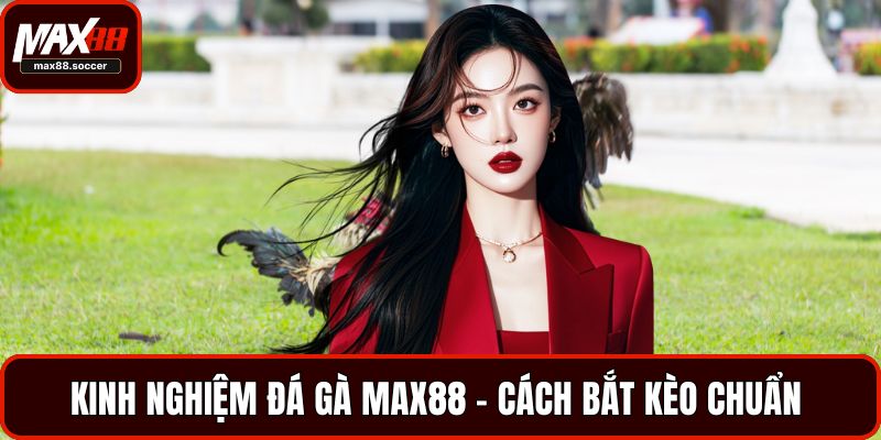 Kinh nghiệm đá gà Max88