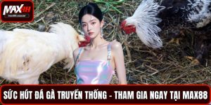Sức hút đá gà truyền thống